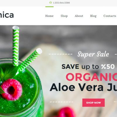 organica-wordpress-responsive-theme-slider1